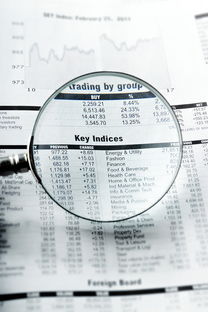 玉树同志供卵选性别：nt值偏高风险大吗下一步检查什么？